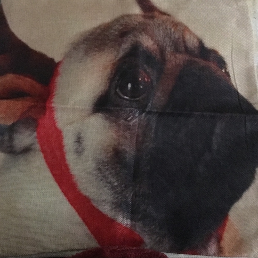 Adorable Small Pug Nose BullDog Pillow Cover